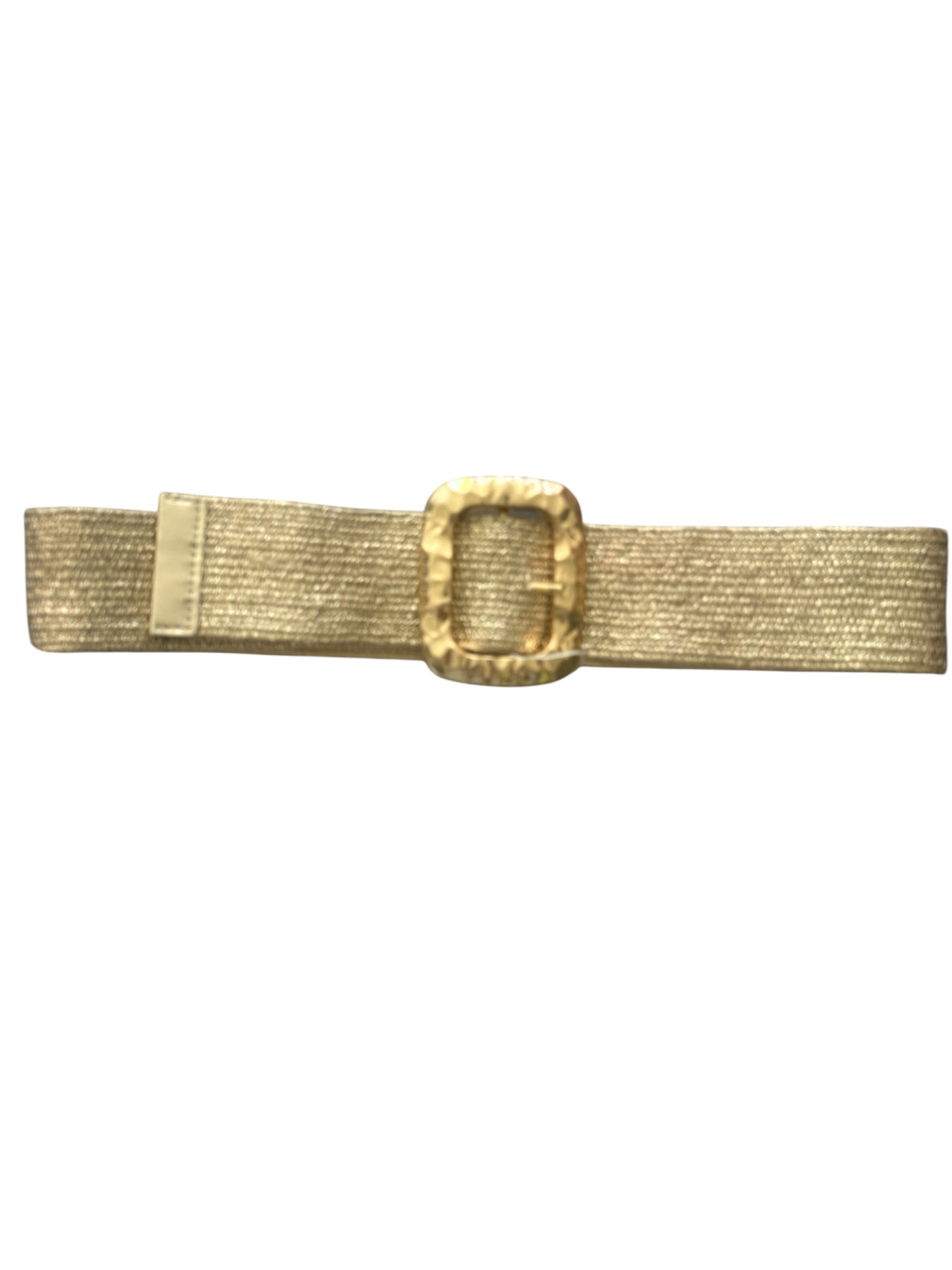 Pisa Belt